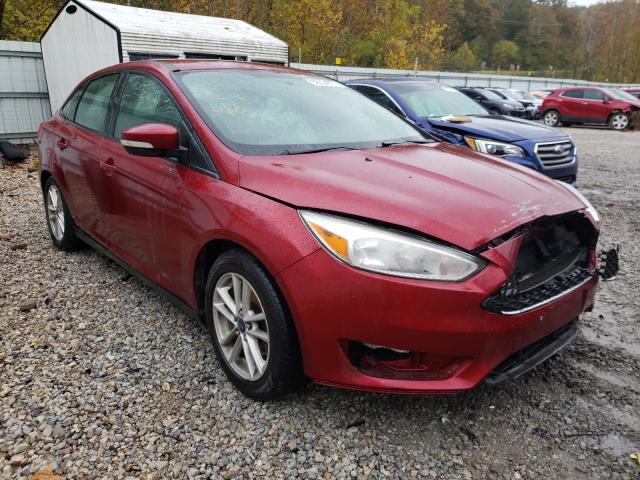 FORD FOCUS SE 2015 1fadp3f23fl229731