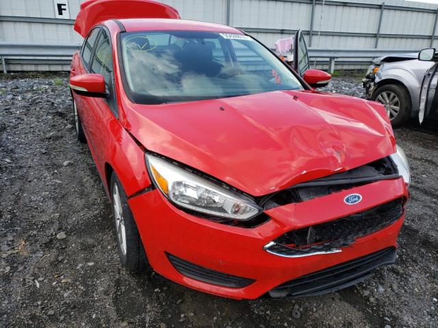 FORD FOCUS SE 2015 1fadp3f23fl264818