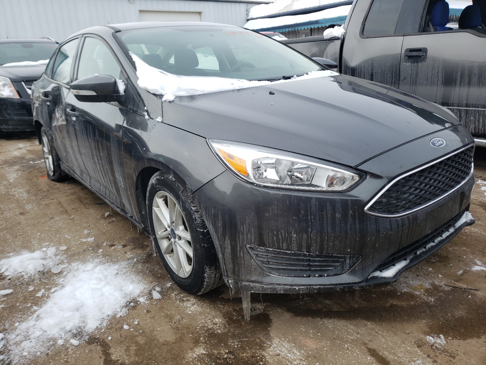 FORD FOCUS SE 2015 1fadp3f23fl329294