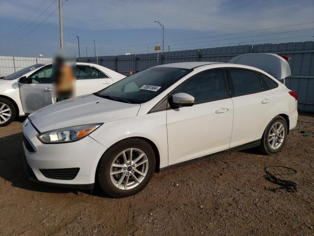 FORD FOCUS SE 2015 1fadp3f23fl368791