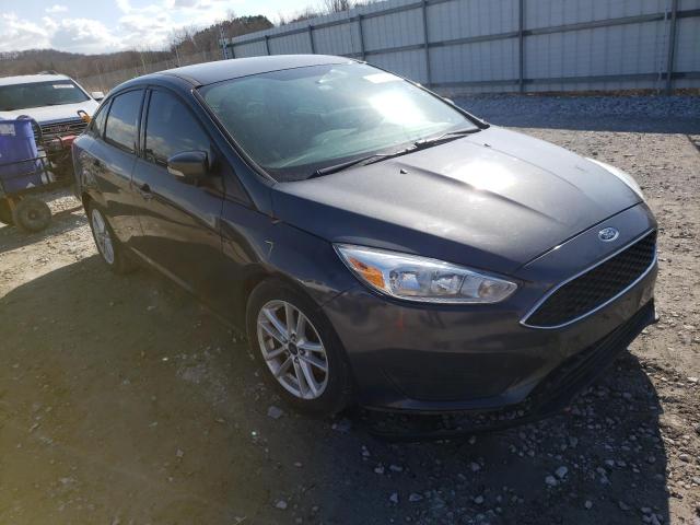 FORD FOCUS SE 2015 1fadp3f23fl375790