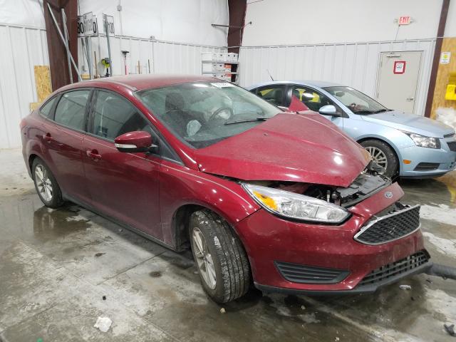 FORD FOCUS SE 2015 1fadp3f23fl384067