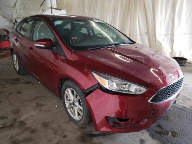 FORD FOCUS SE 2016 1fadp3f23gl304963