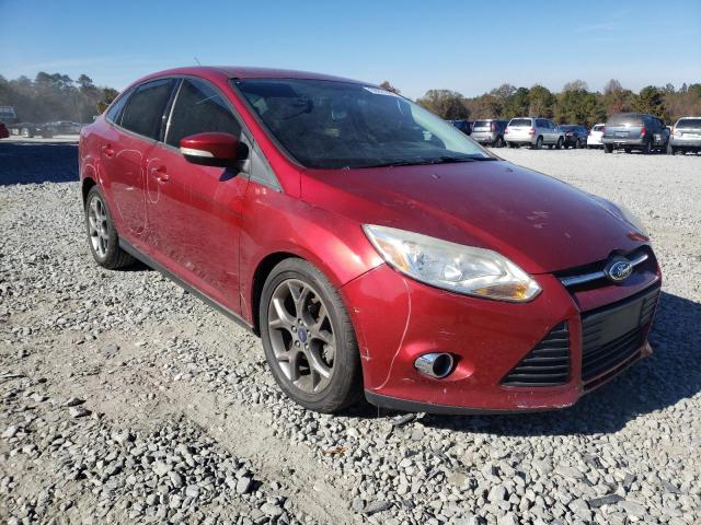 FORD FOCUS SE 2014 1fadp3f24el333384