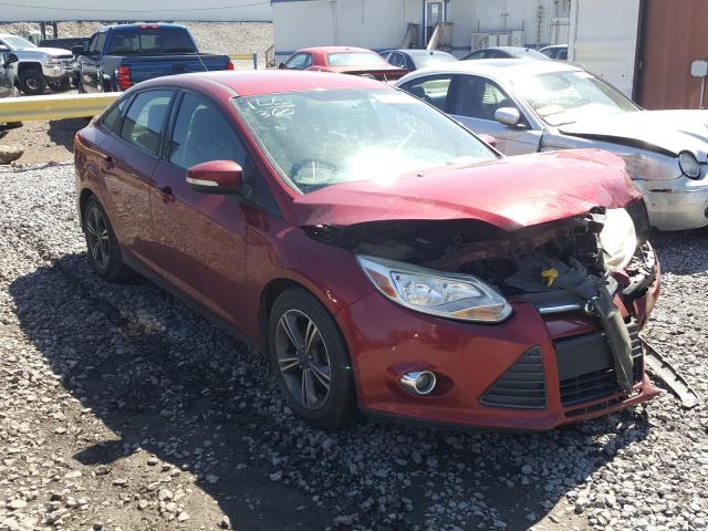 FORD FOCUS SE 2014 1fadp3f24el359984