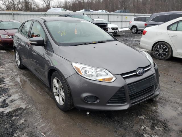 FORD FOCUS SE 2014 1fadp3f24el446767