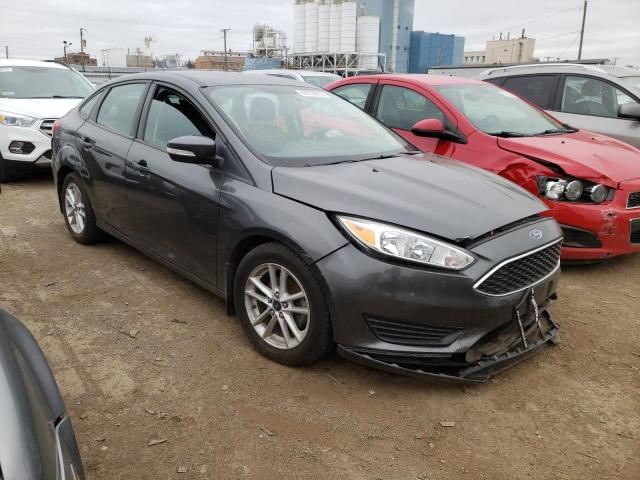 FORD FOCUS SE 2015 1fadp3f24fl216924