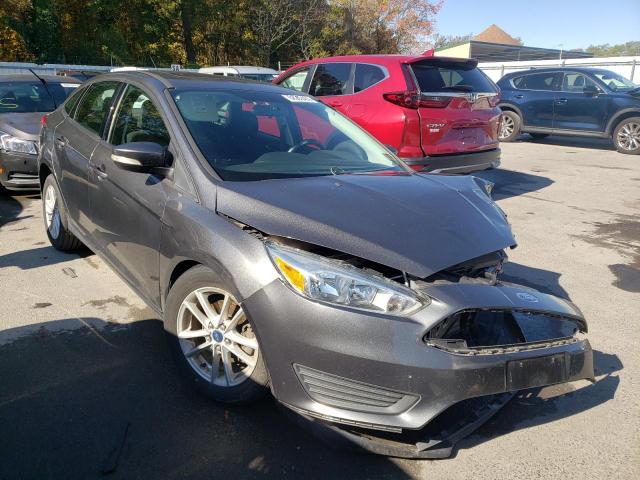 FORD FOCUS SE 2015 1fadp3f24fl226613