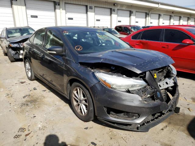 FORD FOCUS SE 2015 1fadp3f24fl246988