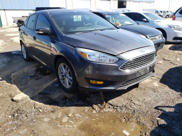 FORD FOCUS SE 2015 1fadp3f24fl254721