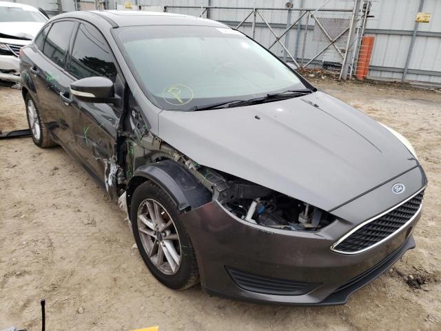 FORD FOCUS SE 2015 1fadp3f24fl269977