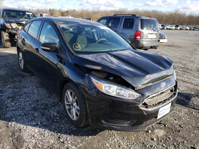 FORD NULL 2015 1fadp3f24fl296192