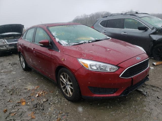 FORD FOCUS SE 2015 1fadp3f24fl310530