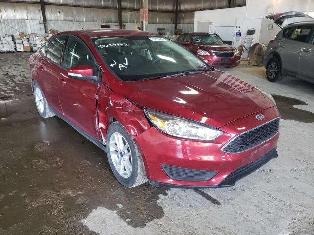 FORD FOCUS SE 2015 1fadp3f24fl374874