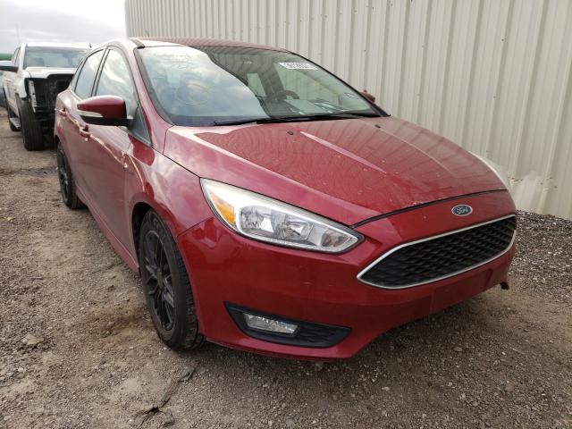 FORD FOCUS SE 2015 1fadp3f24fl384773