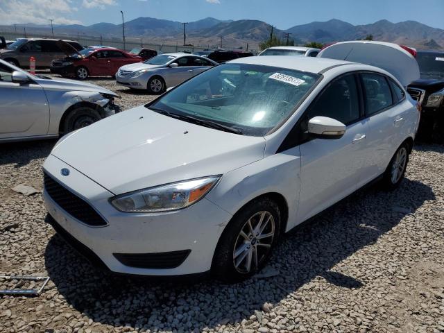 FORD FOCUS SE 2017 1fadp3f24hl314953