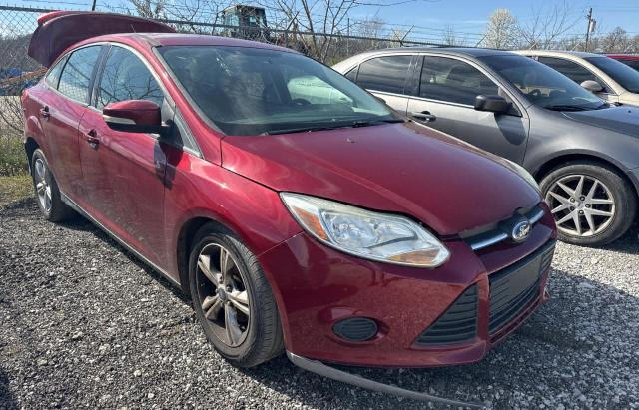 FORD FOCUS 2014 1fadp3f25el116569