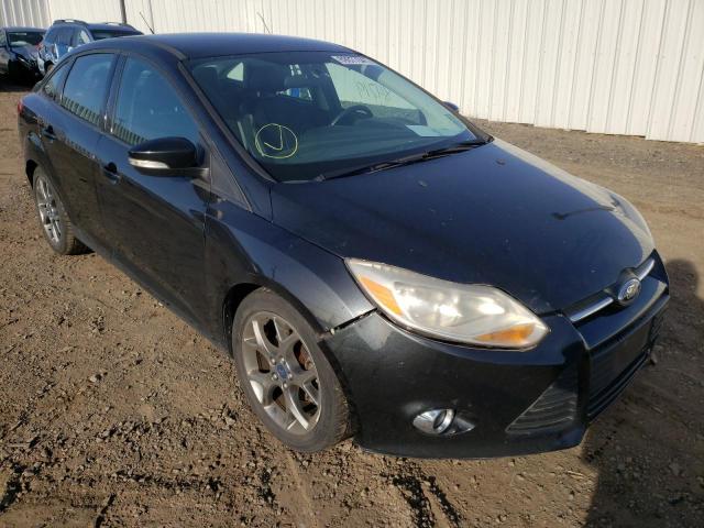 FORD FOCUS SE 2014 1fadp3f25el164783