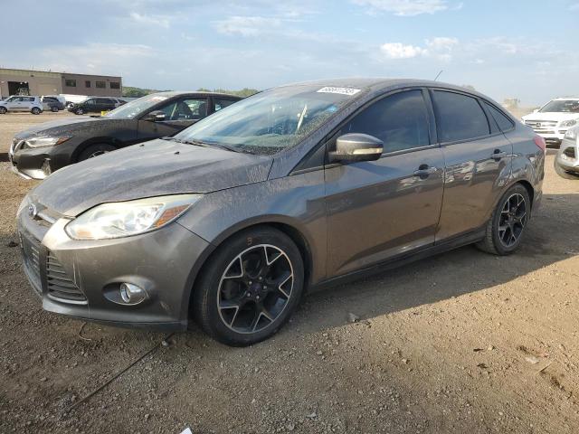 FORD FOCUS 2014 1fadp3f25el203663