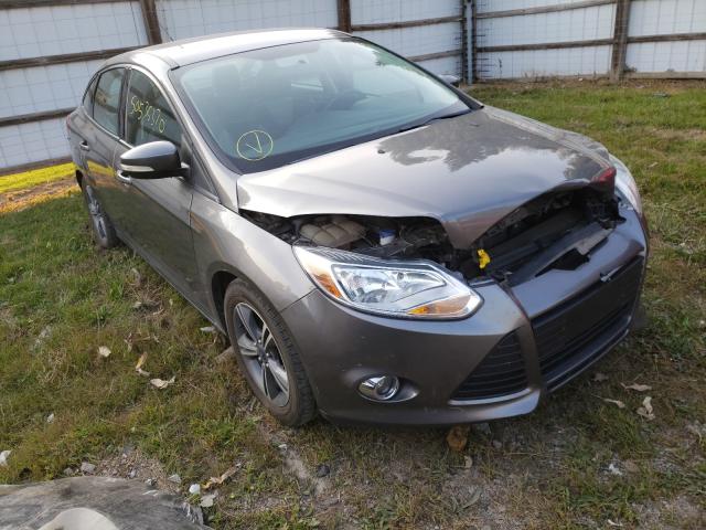 FORD FOCUS SE 2014 1fadp3f25el235948