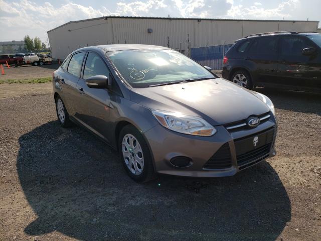 FORD FOCUS SE 2014 1fadp3f25el256394