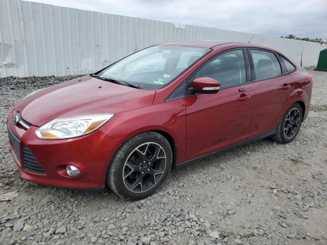 FORD FOCUS SE 2014 1fadp3f25el257478