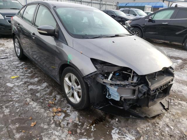 FORD FOCUS SE 2014 1fadp3f25el264981