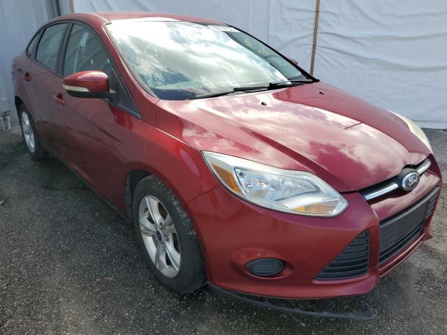 FORD FOCUS SE 2014 1fadp3f25el386238