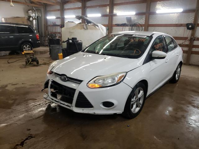 FORD FOCUS SE 2014 1fadp3f25el418041