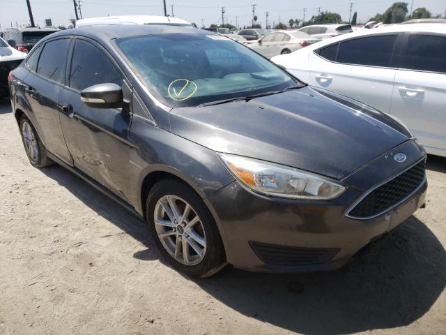 FORD FOCUS SE 2015 1fadp3f25fl295827