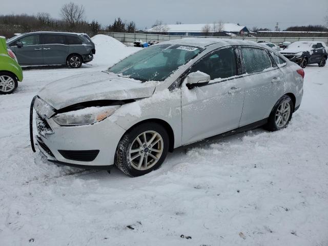 FORD FOCUS SE 2015 1fadp3f25fl305451