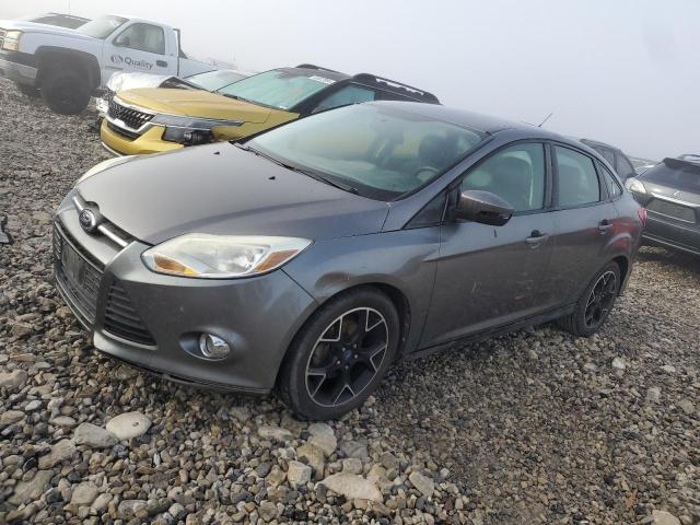 FORD FOCUS 2013 1fadp3f26dl226044