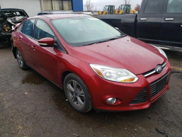 FORD FOCUS SE 2014 1fadp3f26el263578