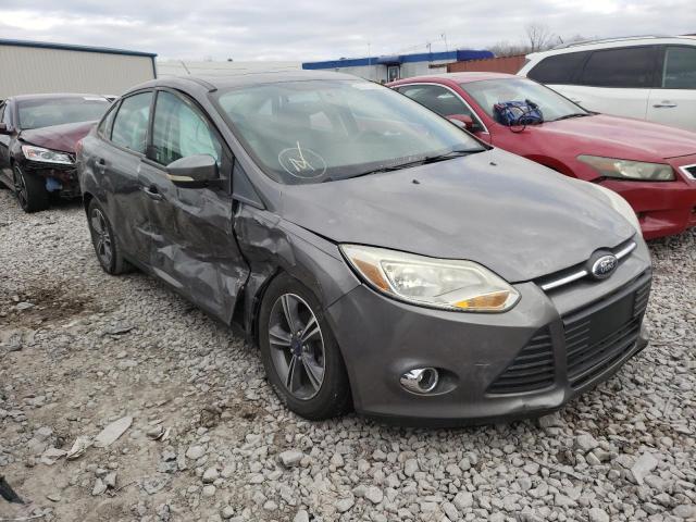 FORD FOCUS SE 2014 1fadp3f26el378777