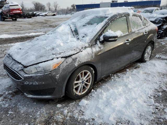 FORD FOCUS SE 2015 1fadp3f26fl218335