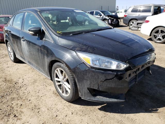 FORD FOCUS SE 2015 1fadp3f26fl278020