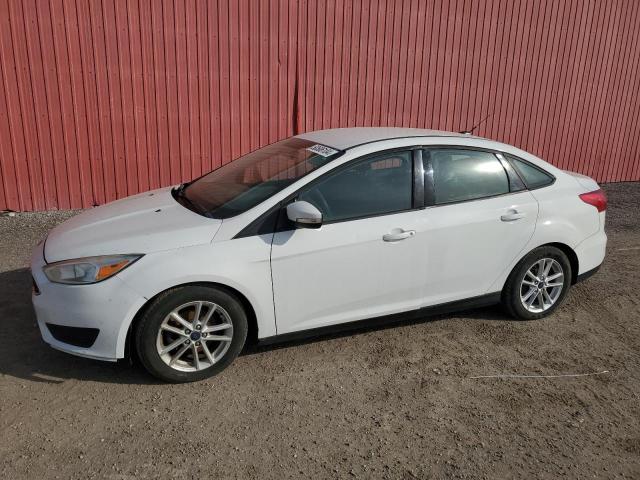 FORD FOCUS 2015 1fadp3f26fl331329