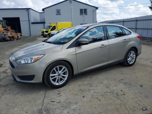 FORD FOCUS SE 2015 1fadp3f26fl365187