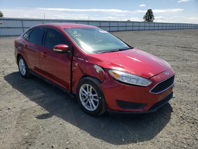 FORD FOCUS SE 2015 1fadp3f26fl368347