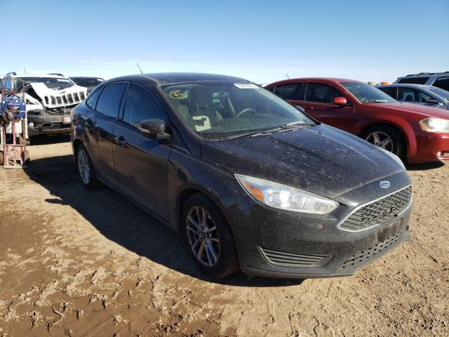 FORD FOCUS SE 2015 1fadp3f26fl368459