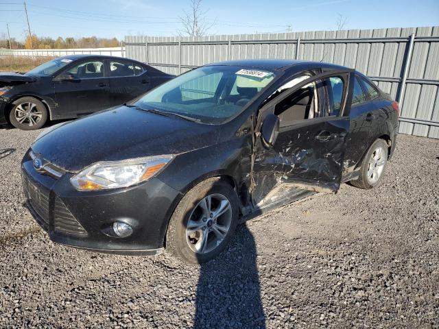 FORD FOCUS SE 2013 1fadp3f27dl356625