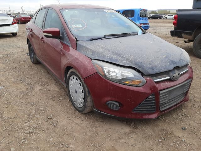 FORD FOCUS SE 2014 1fadp3f27el210842