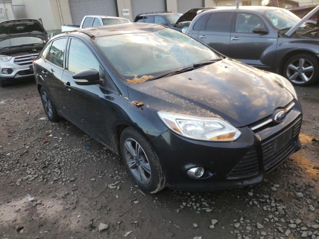 FORD FOCUS SE 2014 1fadp3f27el357906