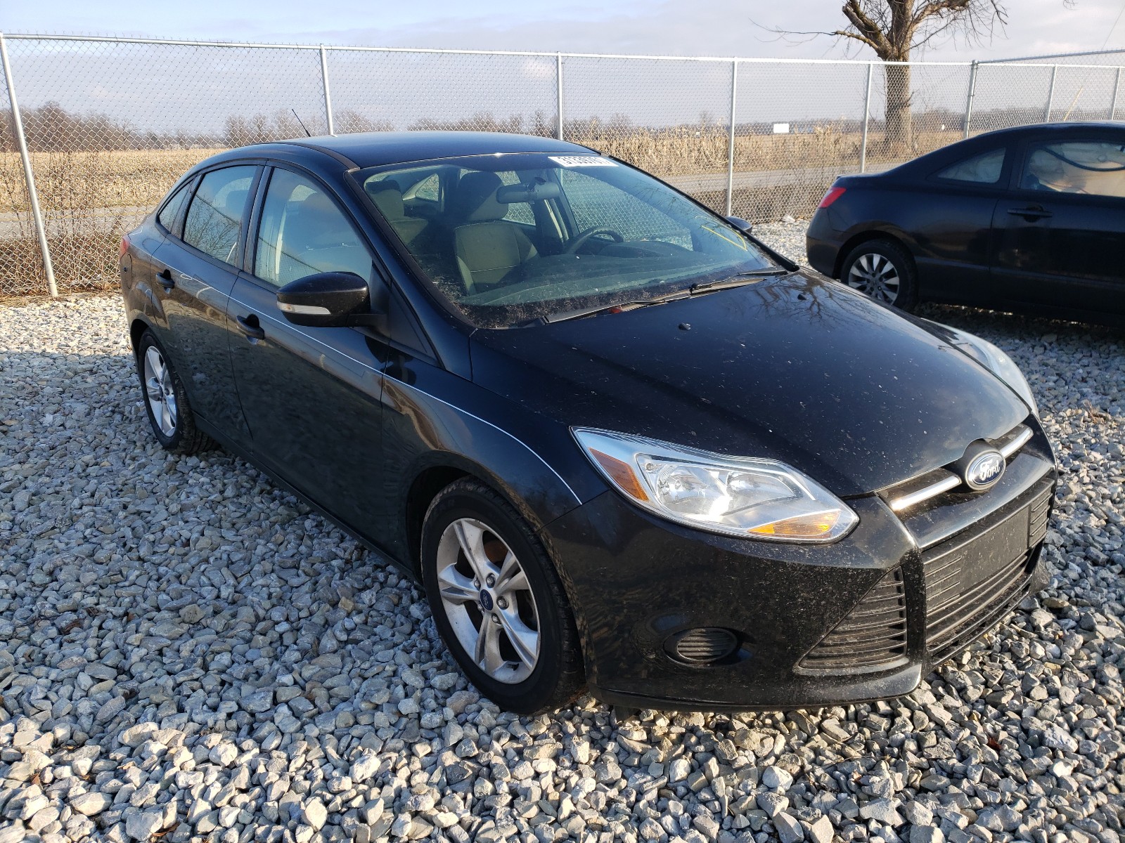 FORD FOCUS SE 2014 1fadp3f27el389089