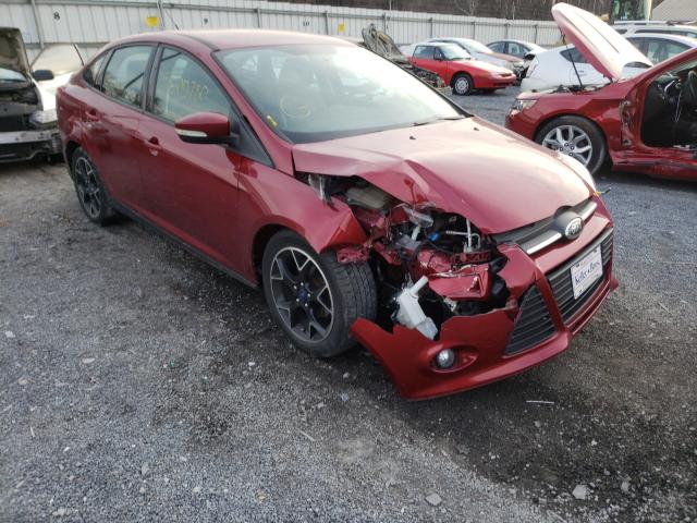 FORD FOCUS SE 2013 1fadp3f28dl186310