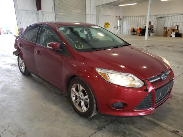 FORD FOCUS SE 2014 1fadp3f28el198023