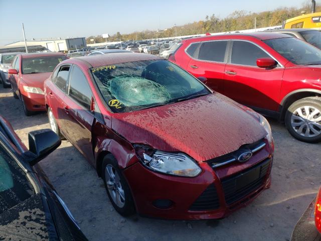 FORD FOCUS SE 2014 1fadp3f28el277997