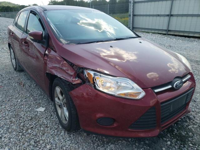 FORD FOCUS SE 2014 1fadp3f28el313963