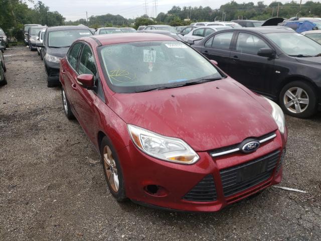 FORD FOCUS SE 2014 1fadp3f28el334294