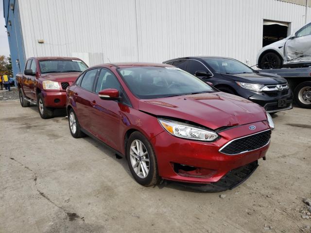 FORD FOCUS SE 2015 1fadp3f28fl213542